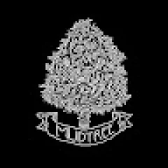 Mudtree