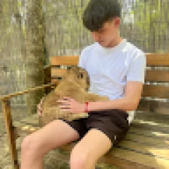 paulg_real
